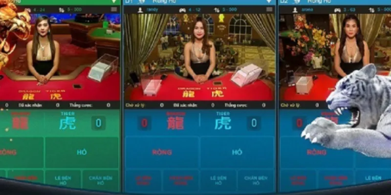 Các cửa cược và tỷ lệ thưởng trong Casino Rồng Hổ